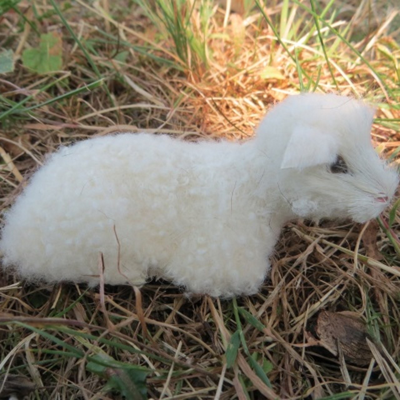 Lamm Echtfell im Arm